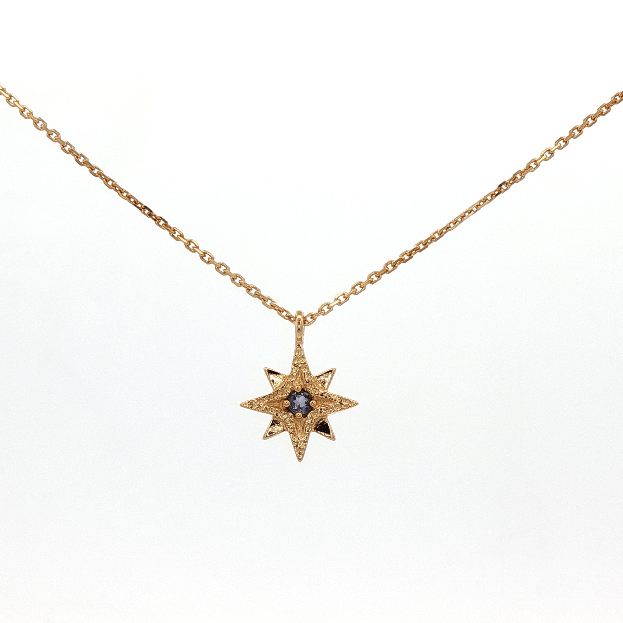 925YG NORT STAR IOLITE NECKLACE - C'SANTOS