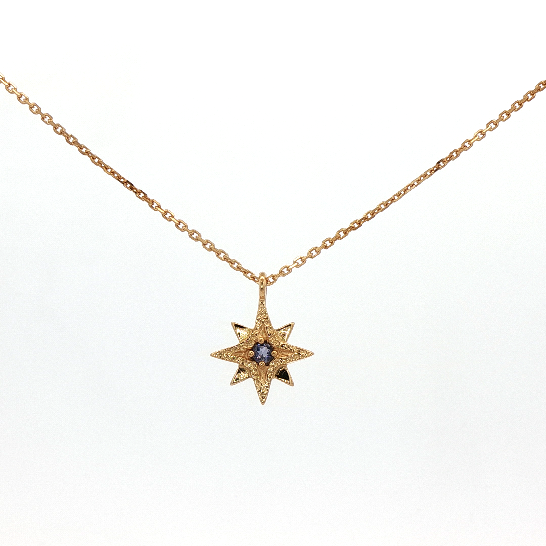 925YG NORT STAR IOLITE NECKLACE